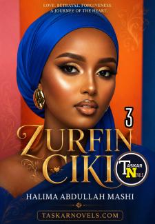 Zurfin Ciki Book 3 Halima Abdullahi Mashi